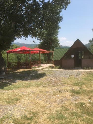 Фотография кемпинга Come to Aragvi