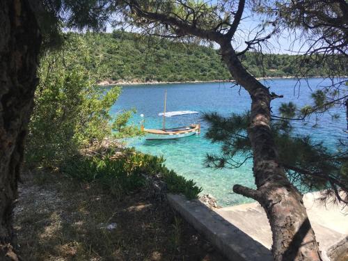 Фотография гостевого дома Hamo Apartments