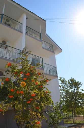 Фотография гостиницы Foton