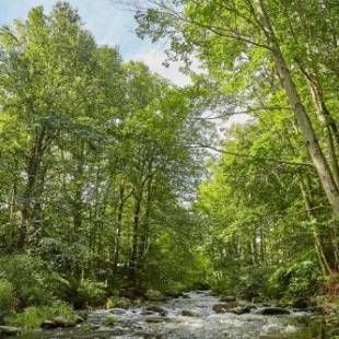 Фотографии базы отдыха 
            Tentrr - Wallenpaupack Creek North