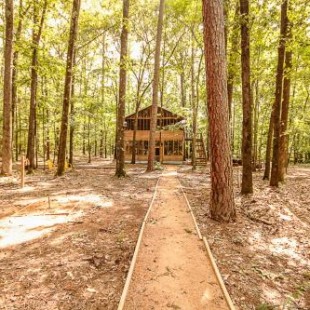 Фотография гостевого дома The Tree House