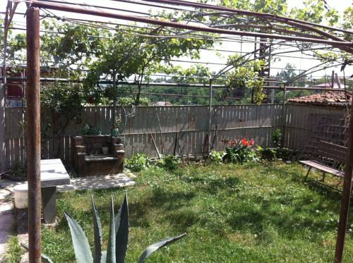 Фотография хостела Saba Hostel