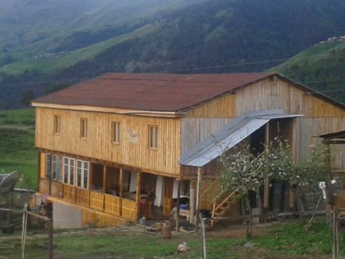 Фотография гостевого дома Old Olmalo