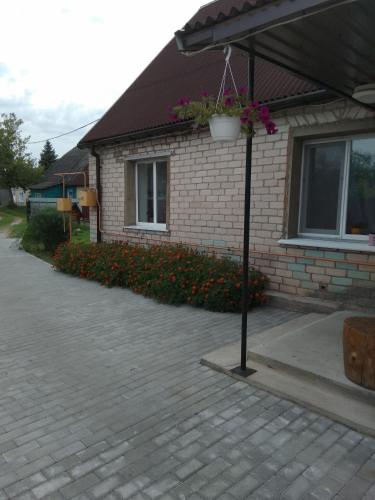 Фотография гостевого дома Агроусадьба Новиатка