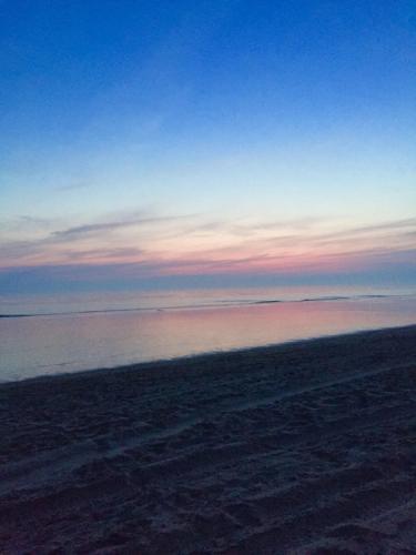 Фотография гостевого дома Casa De Palmas