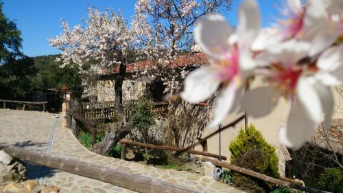 Фотография гостевого дома Valdolázaro