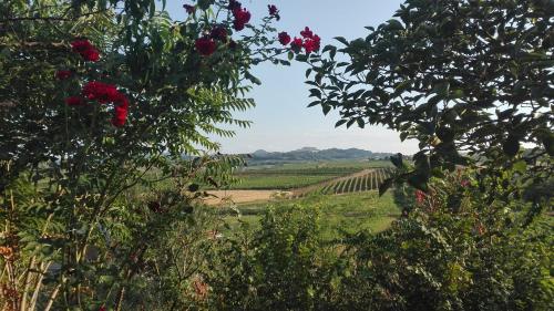 Фотографии базы отдыха 
            Agriturismo La Chiesina