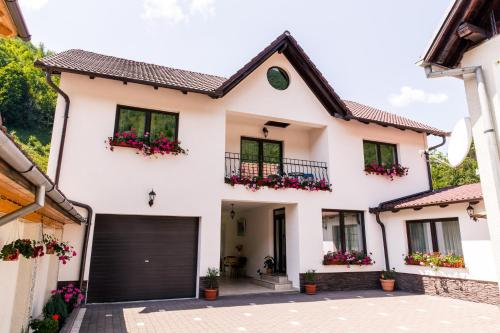 Фотография гостевого дома Vila Rodica Transalpina