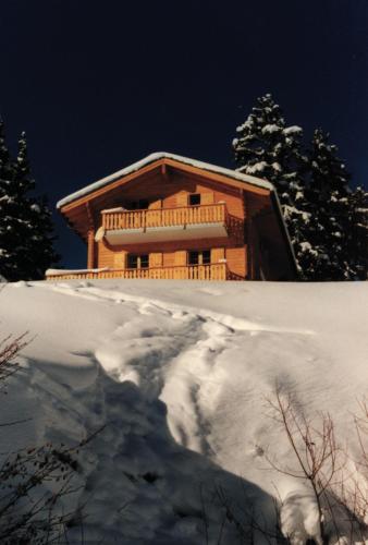 Фотография гостевого дома Chalet Michele Alpage