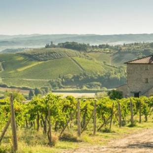 Фотографии базы отдыха 
            Agriturismo Il Casolare Di Bucciano