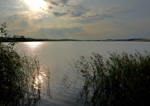 Курганское водохранилище. Шадринск красная звезда озеро. Красная звезда озеро в Курганской области. Оз красная звезда Шадринский район. Водохранилище Агапино Курганская область.