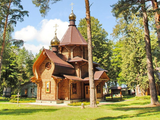 Фотографии храма 
            Царевиче-Алексиевский храм