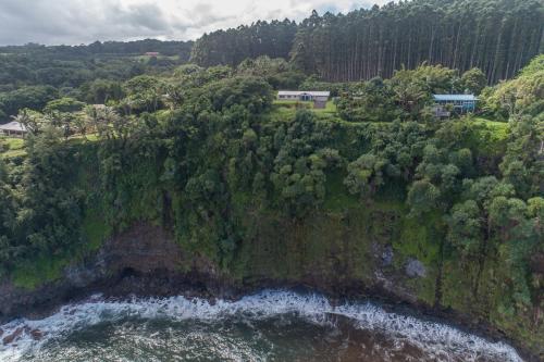 Фотографии гостевого дома 
            Hamakua Pukana La Hale home