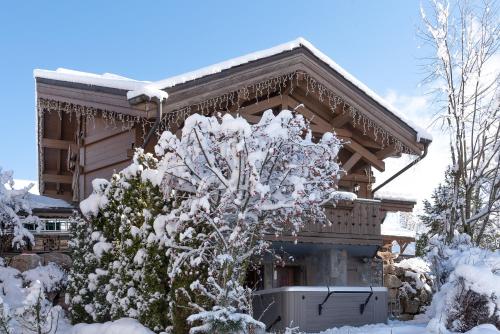 Фотография гостевого дома Chalet Lunar