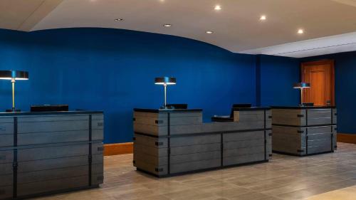 Фотография гостиницы Renaissance Concourse Atlanta Airport Hotel