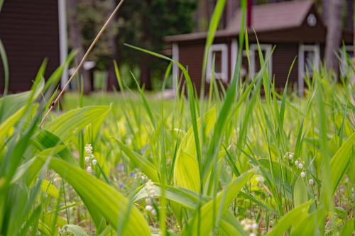 Фотография базы отдыха Салют