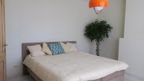 Фотография гостевого дома Vakantiewoning Zonnehof