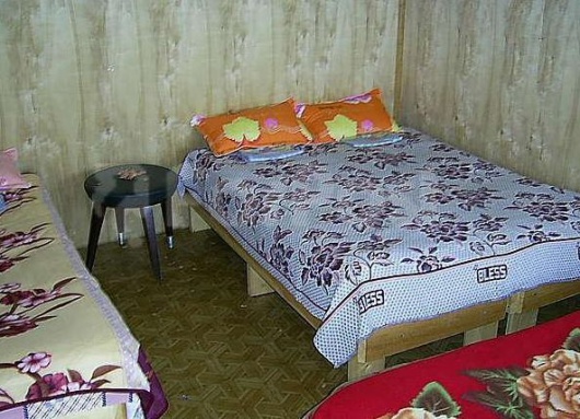 Фотографии базы отдыха
Медведь