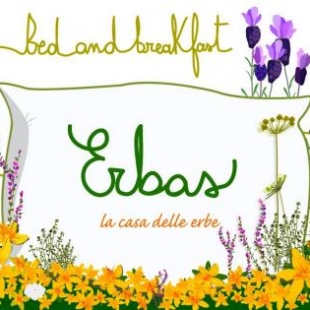 Фотография мини отеля Erbas Bed and Breakfast