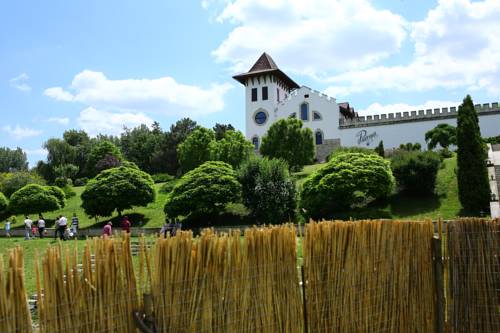 Фотография гостиницы Chateau Purcari