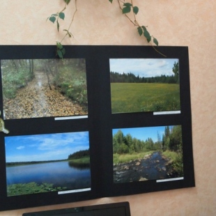 Фотография музея Музей природы Висимского государственного природного биосферного заповедника.