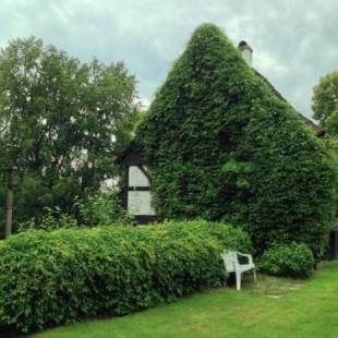 Фотографии гостевого дома 
            Vintage Holiday Home in Nejdek