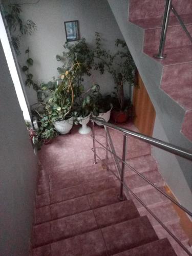 Фотография гостевого дома Анис