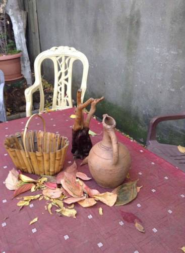 Фотография гостевого дома Guest House Panorama