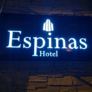 Фотография гостиницы Espinas Taksim Hotel