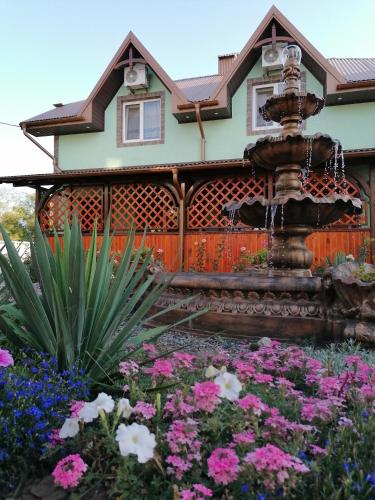 Фотография гостевого дома Amore MIO