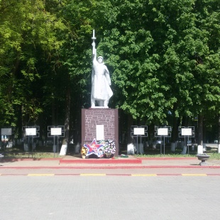 Фотография памятника Памятник Воинам-освободителям