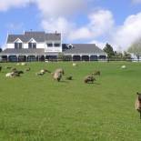 Фотография мини отеля Country Homestead at Black Sheep Farm