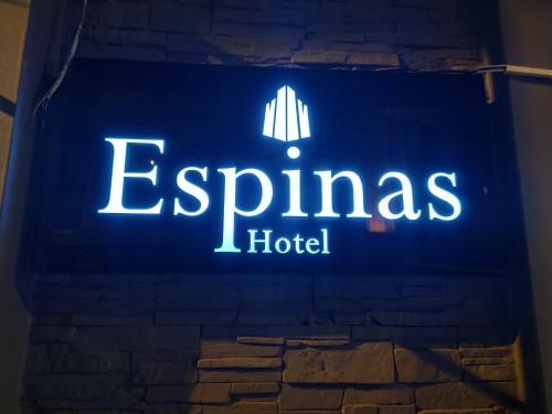 Фотографии гостиницы 
            Espinas Taksim Hotel