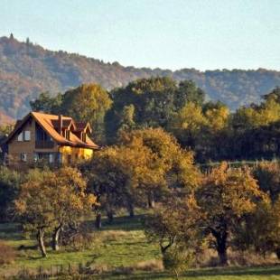 Фотографии гостевого дома 
            Casa Zollo