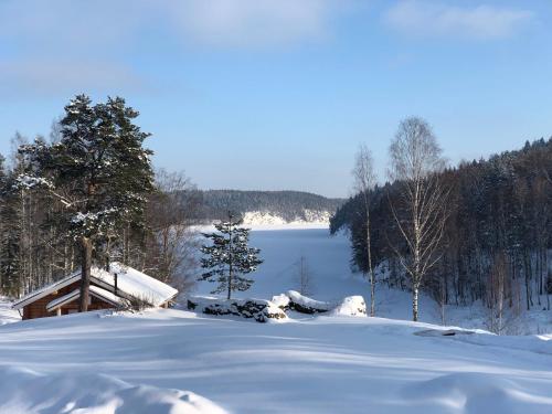 Фотографии гостевого дома 
            Forrest Lodge