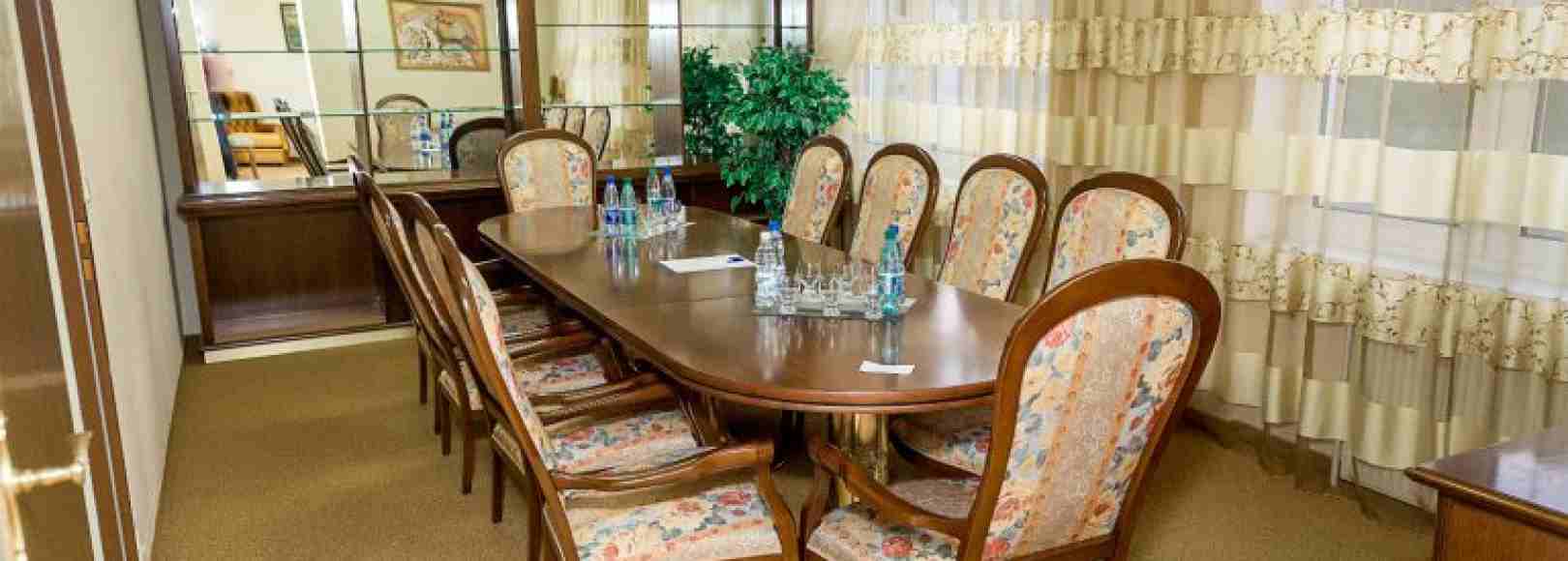 Фотография конференц-зала Лебедь