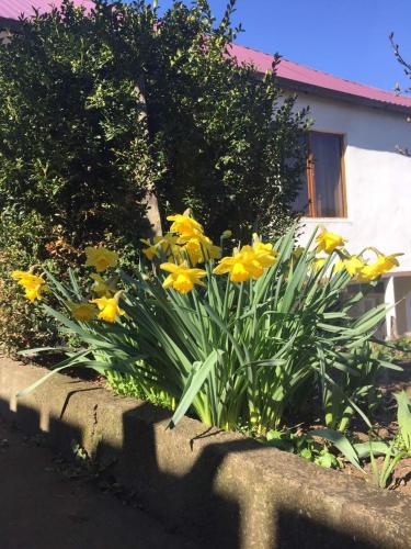 Фотография мини отеля Акнер