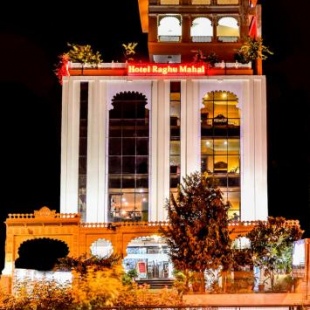 Фотография гостиницы Raghu Mahal Hotel