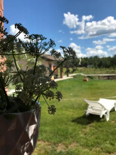 Фотография гостевого дома Новое Село