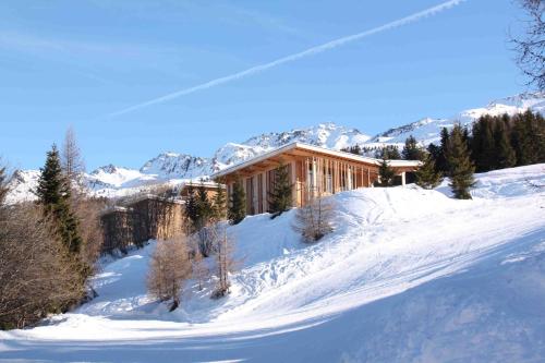 Фотография гостиницы L'Aiguille Grive Chalets Hotel