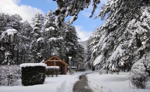 Фотография кемпинга HUTTOPIA Divonne