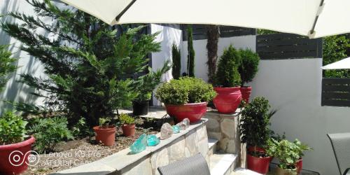 Фотография апарт отеля Studios Spiros Parga