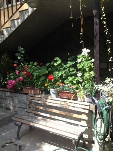 Фотография апарт отеля Happy Time in Sochi