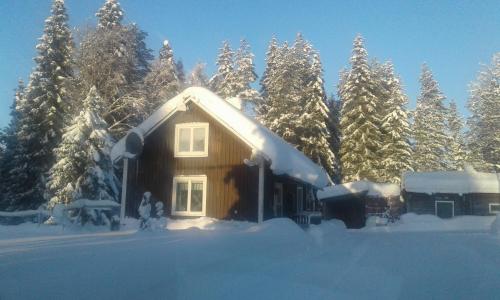 Фотография гостевого дома Holiday House in Lapland, Överkalix