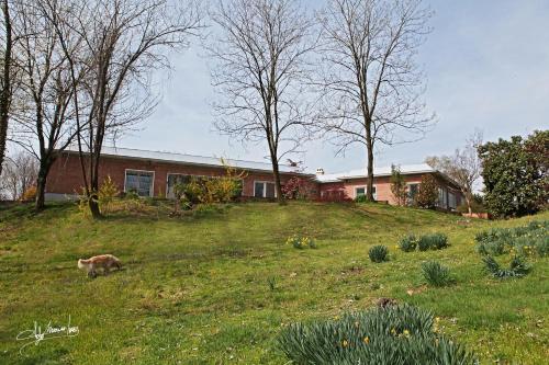 Фотография мини отеля Villa Silvia Olivetti