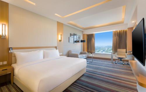 Фотография гостиницы Radisson Blu Gorakhpur