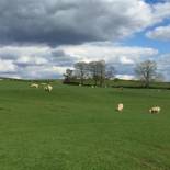 Фотография гостевого дома Weatherhead Farm Shepherds Hut