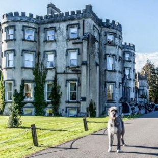 Фотография гостиницы Ballyseede Castle