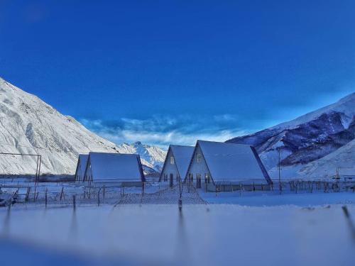 Фотографии гостиницы 
            Twinsachkhoti