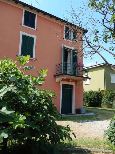 Фотография мини отеля B&B Il moro selvatico